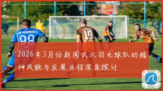 2026年3月份新闻武汉羽毛球队的精神风貌与发展历程深度探讨