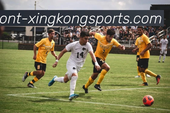 数据防护可视化